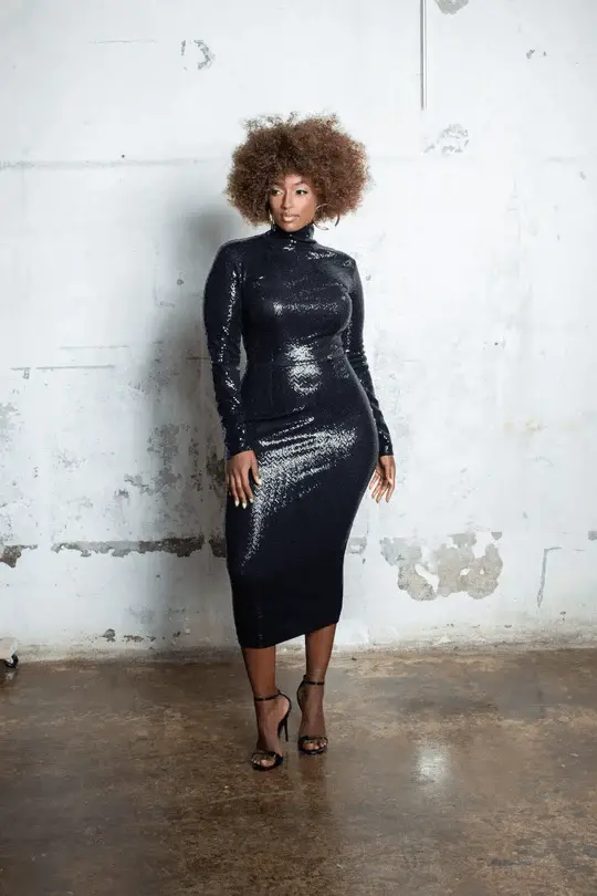 JIBRI LONG SLEEVED SEQUINED MOCK NECK PENCIL DRESS 1