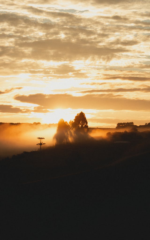 Capture the serene beauty of a sunrise casting a warm glow over misty fields in Curitiba, Brazil.
