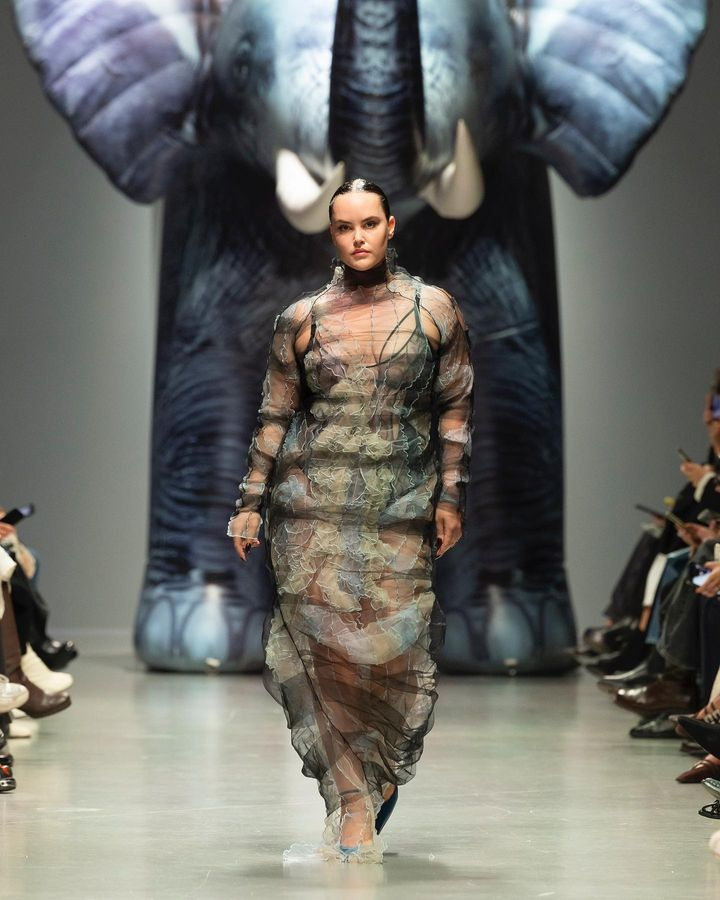 plus size fashion industry